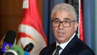 هل تسير حكومة 