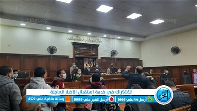 الاستماع لشهادة مدير عام متابعة آثار مصر بقضية 