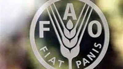 منظمة الفاو: الدول العربية هي الأكثر تضررًا من الأزمة الروسية- الأوكرانية