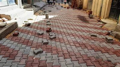 بتكلفة 2 مليون جنيه.. رصف 19 شارعا فرعيا بـ 