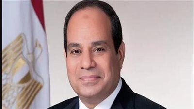 عاجل.. السيسي يصدر توجيها جديدا إلى وزيرة التعاون الدولي