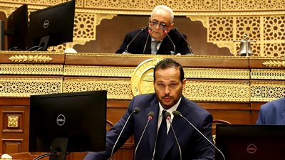 رئيس صناعة الشيوخ: لا بد من توافق سياسات الحكومة لزيادة الصادرات