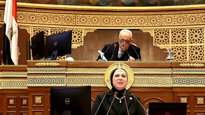 نيفين جامع: حرصنا على تنفيذ الخطوات التنفيذية لتشجيع الصناعة الوطنية