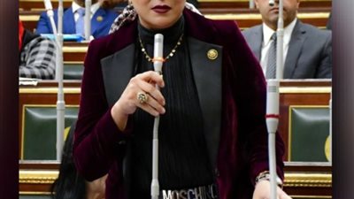 أول تحرك برلماني بشأن استيضاح خطة الحكومة في مجابهة تغيرات المناخ 