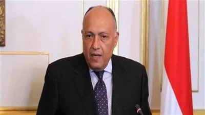 تصريح جديد من وزير الخارجية حول سد النهضة (فيديو)