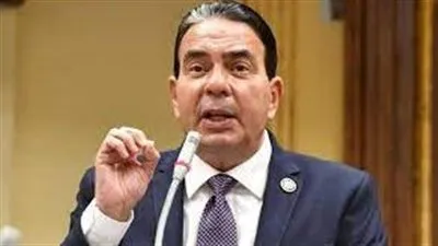 مستشهدًا بحالة زوجته.. النائب أيمن أبوالعلا يحذر من خطر استخدام أدوية المسكنات