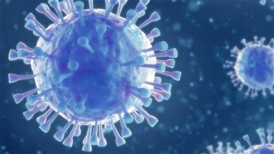 عاجل.. الصحة تعلن البيان اليومي لفيروس كورونا