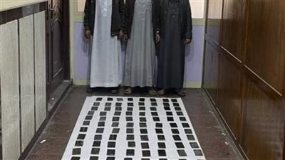 ضبط 10 عناصر إجرامية لحيازتهم 740 طربة حشيش وأفيون بالإسكندرية