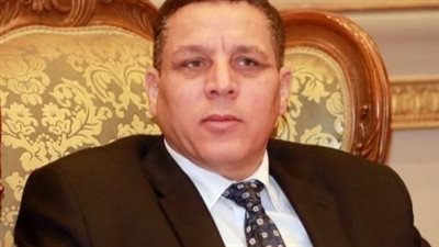 برلماني: الاهتمام بالصناعة تحول إلى أولوية حقيقية على أجندة الدولة 