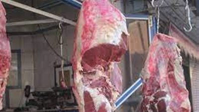 استقرار اسعار اللحوم اليوم الخميس 