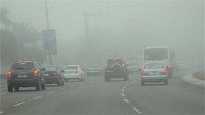 البداية غدا والذروة السبت.. 7 نصائح للتعامل مع ظاهرة 