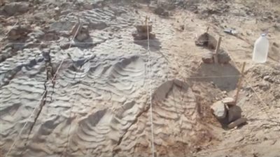 تعرف على تفاصيل تسجيل أول آثار لأقدام ديناصورات آكلة اللحوم والأعشاب