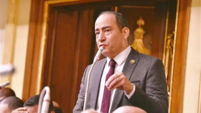 برلماني: تقدير أوروبي متزايد لدور السيسي والتواجد المصري في قضايا المنطقة 