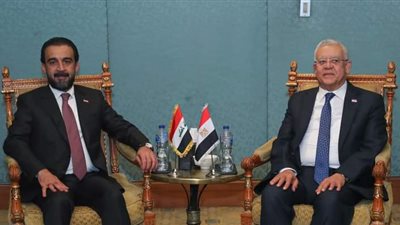تفاصيل لقاء رئيس البرلمان العراقي ونظيره المصري