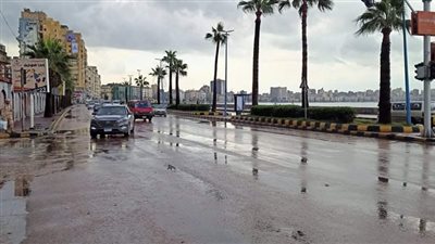 هطول أمطار متوسطة إلى غزيرة على الإسكندرية (صور)