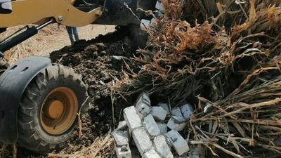 إزالة 9 حالات تعد على أملاك الدولة والأراضي الزراعية بسوهاج