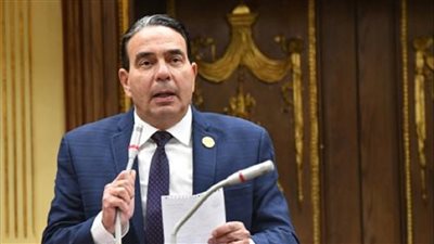 برلماني: لدينا 80 طبيب لكل 10 آلاف مواطن.. والهجرة أزمة كبيرة