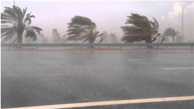 بسبب سوء الطقس.. 