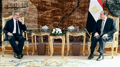 عاجل.. السيسي يستقبل الرئيس الفرنسي الأسبق نيكولا ساركوزي