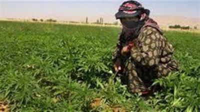 منصة العيادة الذكية تحقق التحول الرقمي لخدمة المزارع.. تعرف على التفاصيل (فيديو)