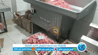 ضبط 6 أطنان لحوم وكبدة مجمدة فاسدة بكفر الشيخ