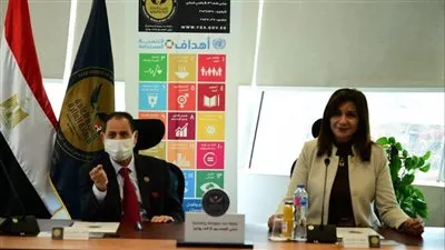  “الرقابة المالية”: 67 ألف مواطن اشتروا وثيقة التأمين للمصريين بالخارج