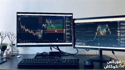 شركة إكسنس أفضل شركة وسيطة للمبتدئين