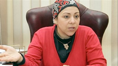 نهاد أبو القمصان: دخول الدولة كمنظم للعلاقة بين الزوجين بعد الطلاق أمر هام 