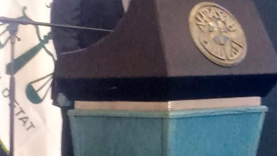 رئيس مجلس الدولة: أنجزنا 100٪؜ من القضايا.. والمراجعة تتم في نفس يوم الطلب 