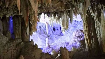 البيئة تكشف تفاصيل إطلاق حملة لزيارة المحميات الطبيعية من المنزل (فيديو)