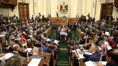 برلماني: مصر ملتزمة بتفعيل كافة برامج الحماية الاجتماعية وشمولها 