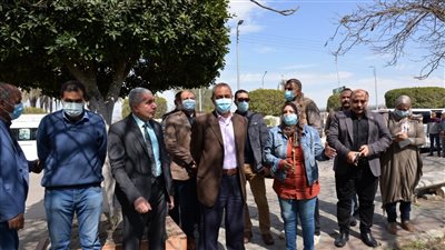 محافظ الإسماعيلية يغرس أول شتلة أشجار مثمرة بالطريق الدائري