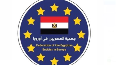 اتحاد الكيانات المصرية في أوروبا يطمئن على الجالية المصرية في أوكرانيا 
