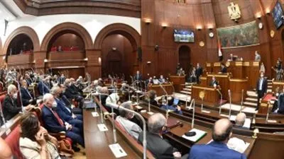 نائب بالشيوخ: قمة المناخ تجعل مصر محط أنظار العالم