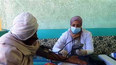 تقديم الخدمة العلاجية لـ2305 مواطنا بالقوافل الطبية في قرى نصر النوبة وإدفو