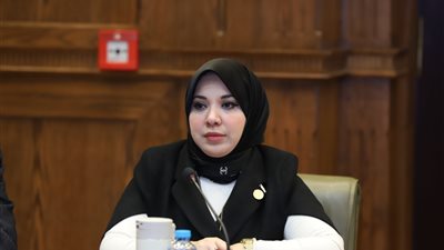 برلمانية: الجمعيات الأهلية شريك مهم للدولة في تحقيق التنمية وزيادة وعي المواطنين