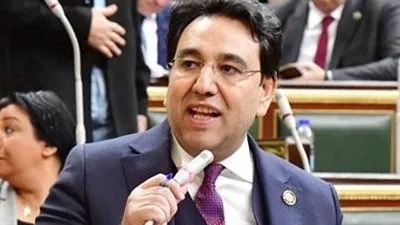 برلماني: مصر تستهدف دعم تسوية أزمة أوكرانيا والحفاظ على الأمن والاستقرار الدوليين