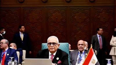 مجلس الشيوخ يقر قواعد توزيع الأرباح بقانون التأمين الموحد 