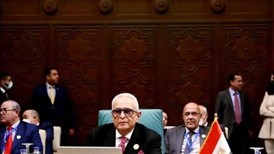 جدل في مجلس الشيوخ بسبب المادة 13 من مشروع قانون التأمين الموحد