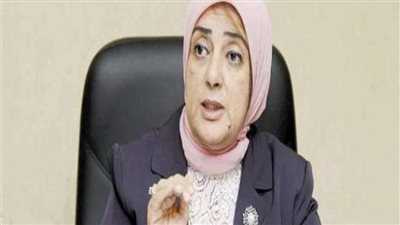 مايسة شوقي: المشروع القومي لتنمية الأسرة فارق في تاريخ مصر (فيديو)