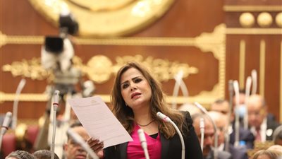نائبة بالشيوخ تتقدم بتعديلات جديدة على قانون التأمين الموحد