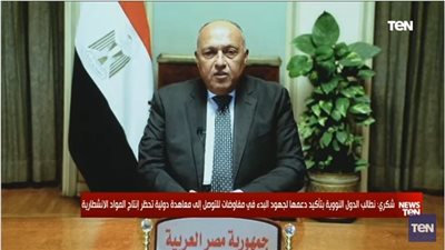 وزير الخارجية يُطالب الدول النووية الدخول بمفاوضات دولية تحظر إنتاج المواد الانشطارية (فيديو)