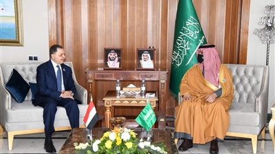 وزير الداخلية يلتقى مع نظرائه العرب على هامش أعمال الدورة 39 بتونس