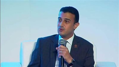 برلماني: الدولة حريصة على وصول المصريين لأرض الوطن آمنين