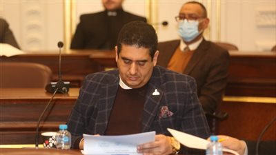 نائب بالشيوخ: السيسي أحدث طفرة في البنية التحتية وتطوير الإسكان