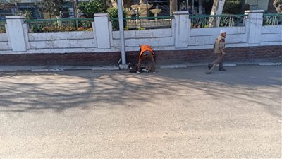  حملات إزالة ترفع 142 طن قمامة وأتربة بالدقهلية 