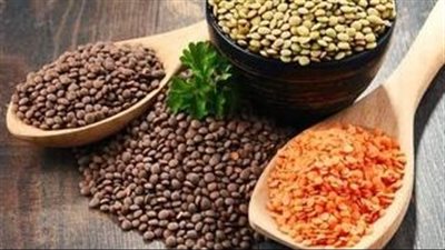 خبير أثري يكشف عن أحد أهم الوجبات التي كانت تُقدم لعمال بناء الأهرامات