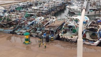  استئناف حركة الصيد والملاحة البحرية في كفر الشيخ