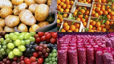 الزراعة: الصادرات محور استراتيجي هام للتنمية وتوفير العملة الصعبة (فيديو)