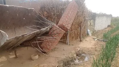 إزالة 12 حالة تعدٍ على الأرض الزراعية وأملاك الدولة بالجيزة